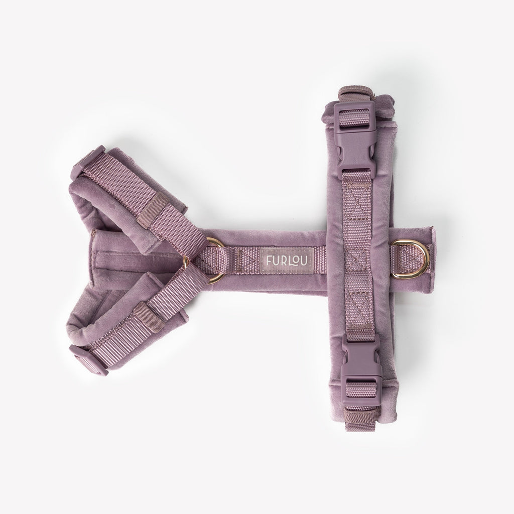 Velvet Dog Harness in Lilac