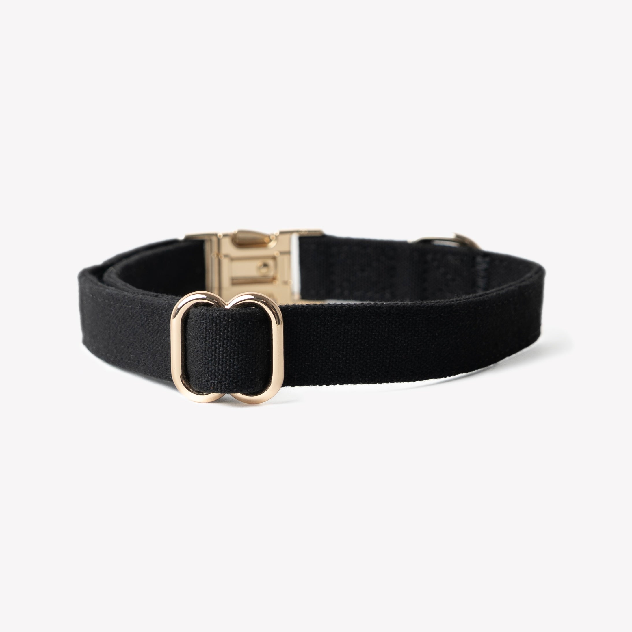 Canvas Dog Collar in Black
