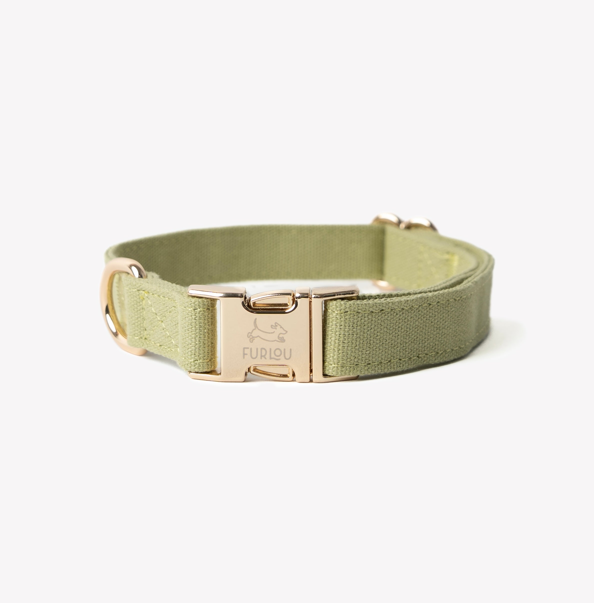 Canvas Dog Collar in Green