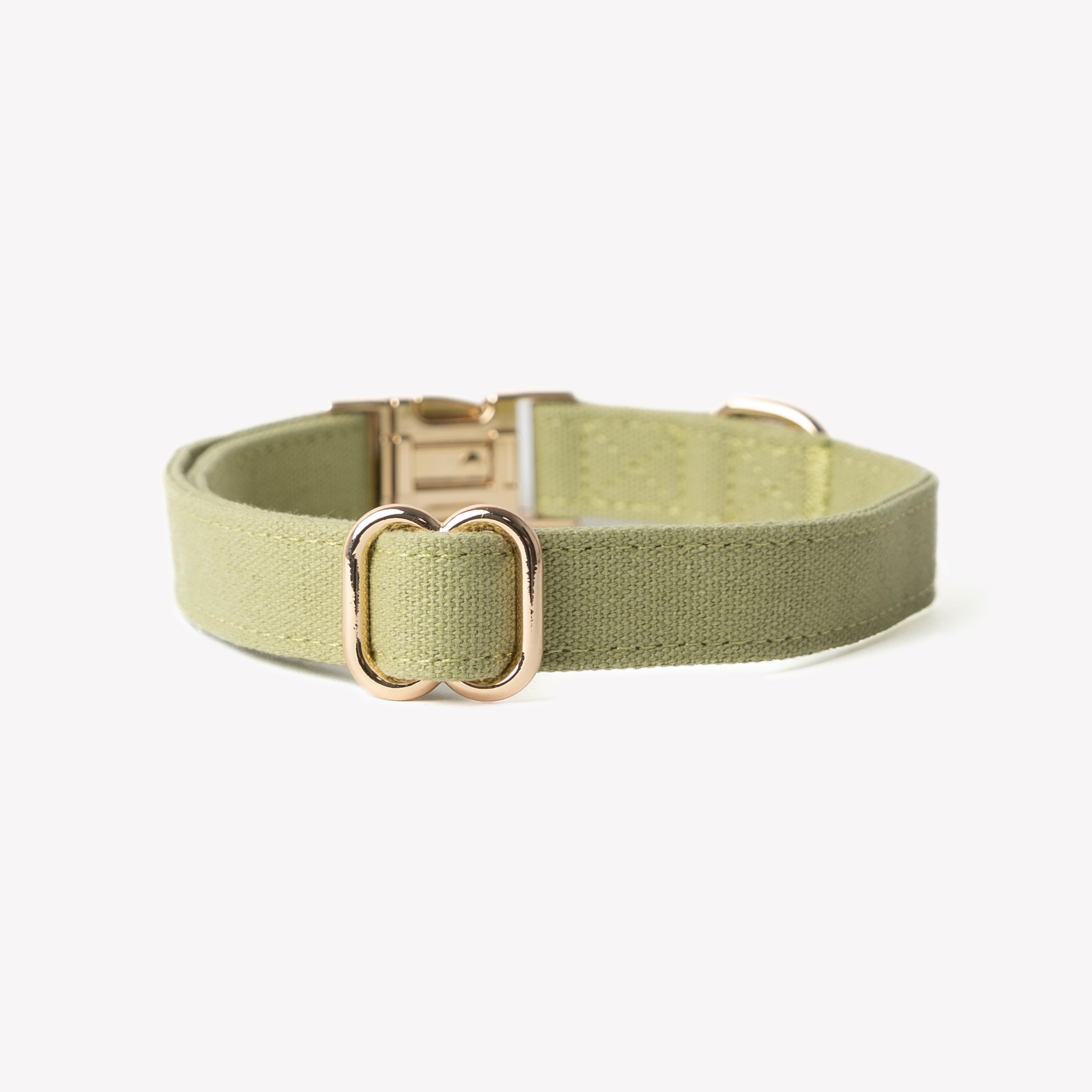 Canvas Dog Collar in Green