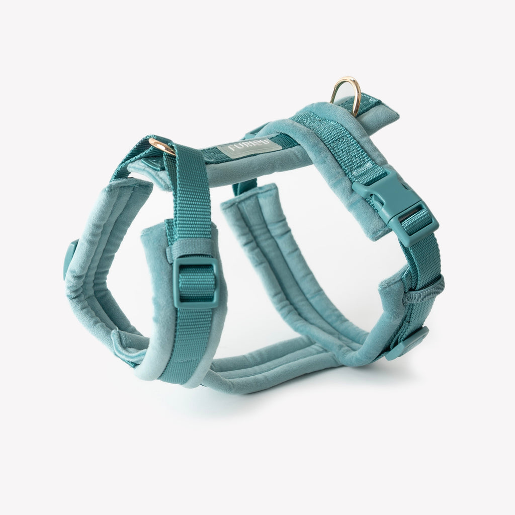 Velvet Dog Harness in Blue