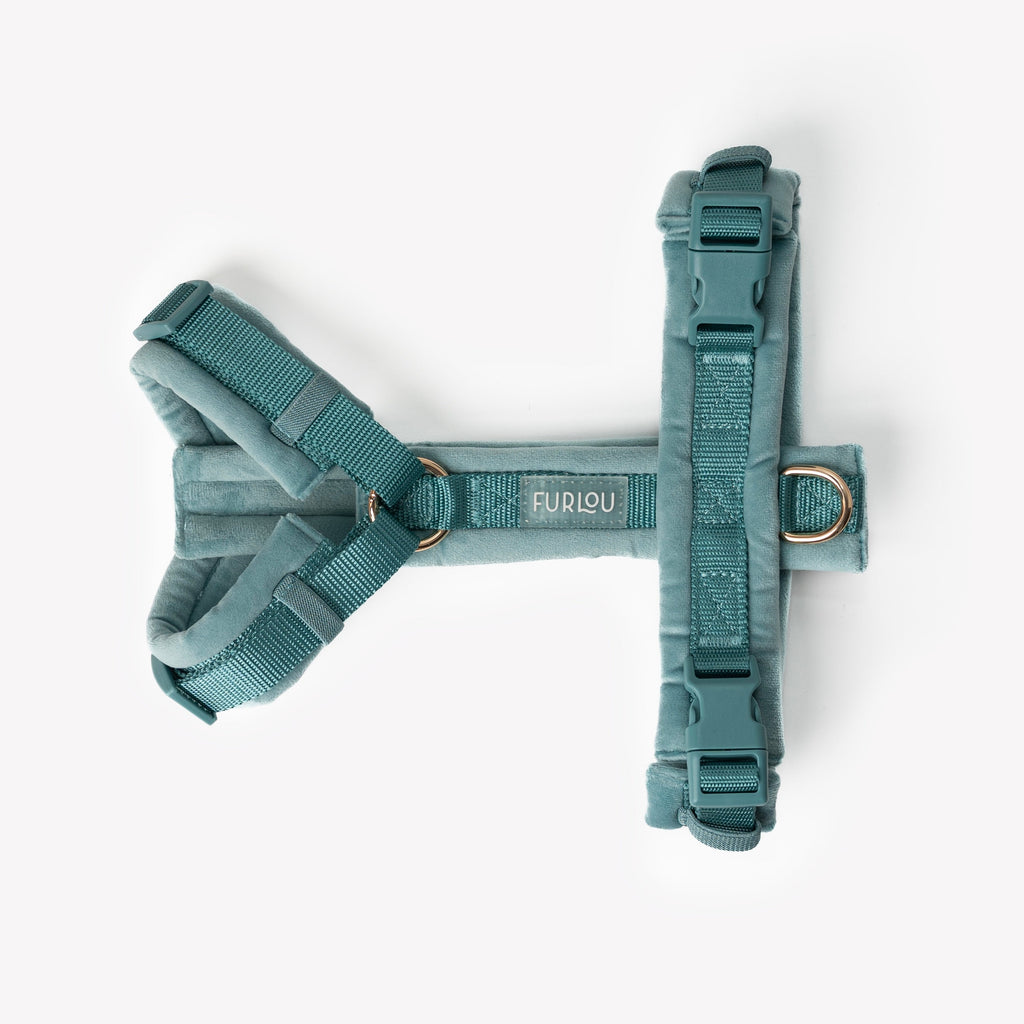 Velvet Dog Harness in Blue