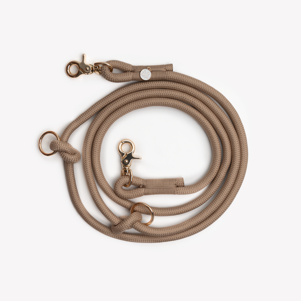 Hands-Free Braided Dog Leash in Sand