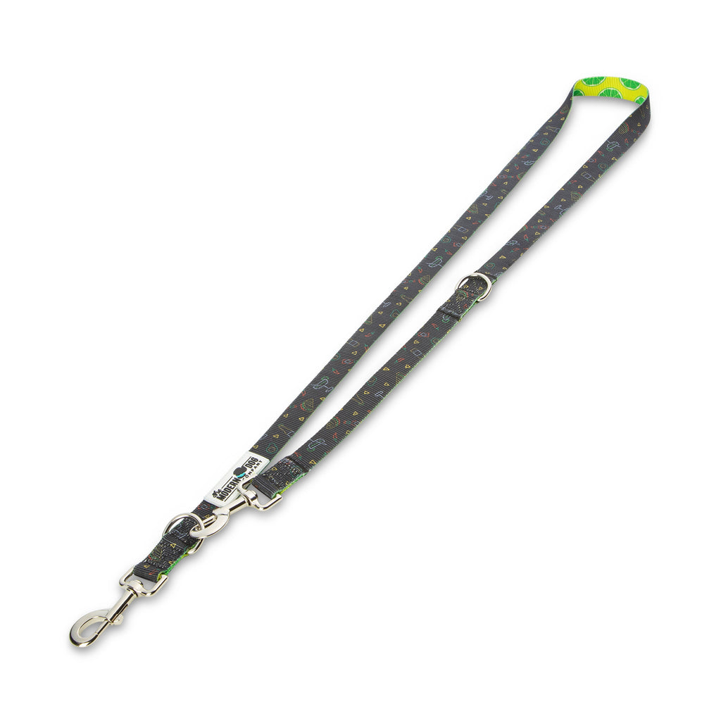 Retro Taco Tuesday Dog Leash