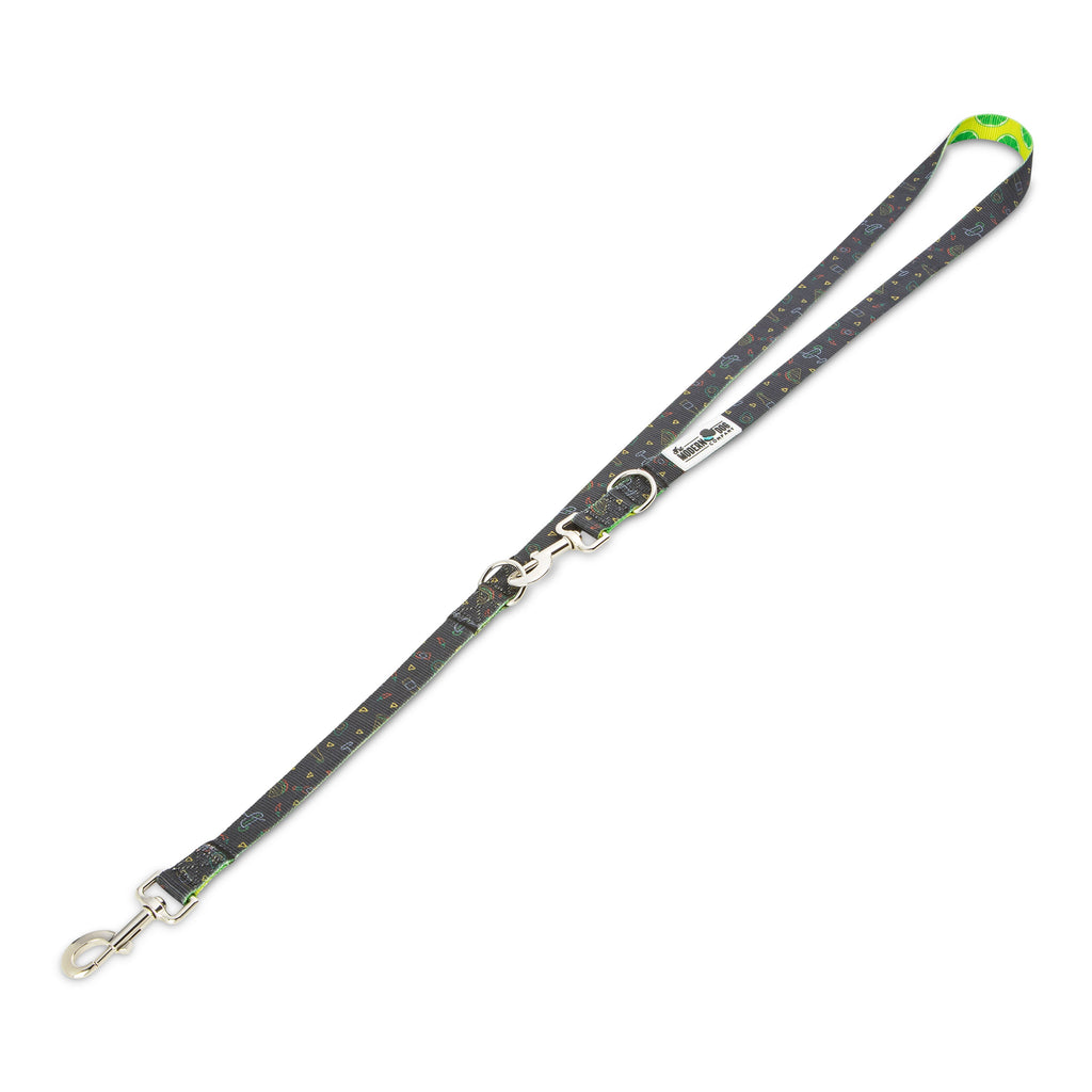 Retro Taco Tuesday Dog Leash