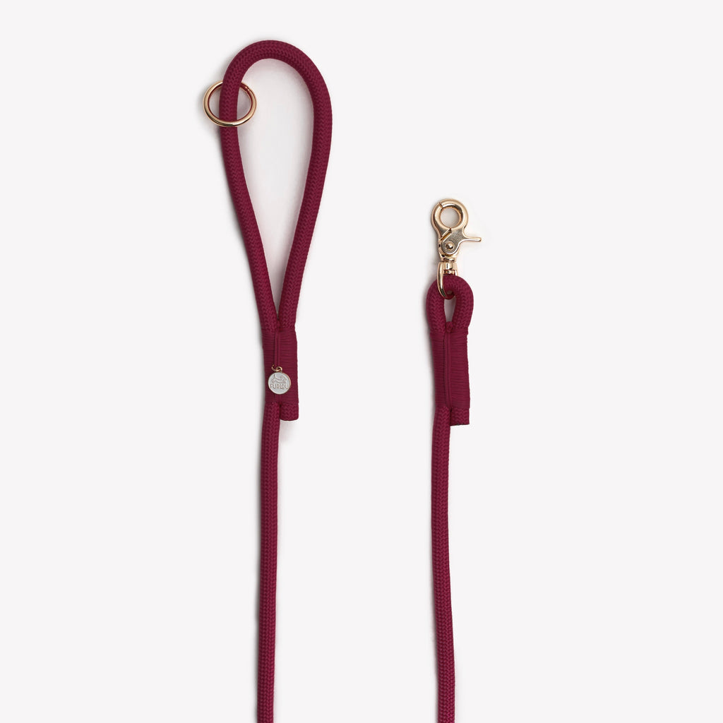 Braided Rope Dog Leash in Bordeaux