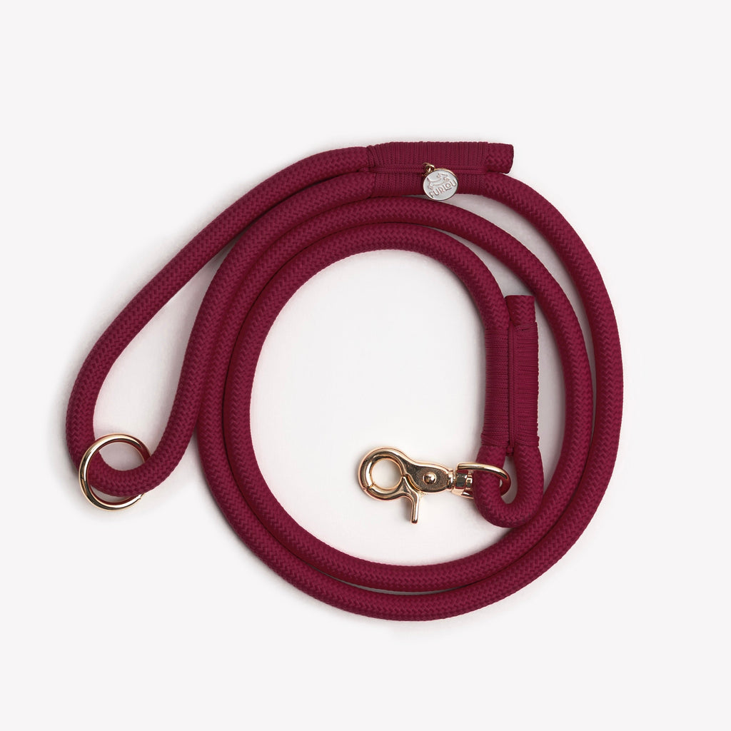 Braided Rope Dog Leash in Bordeaux