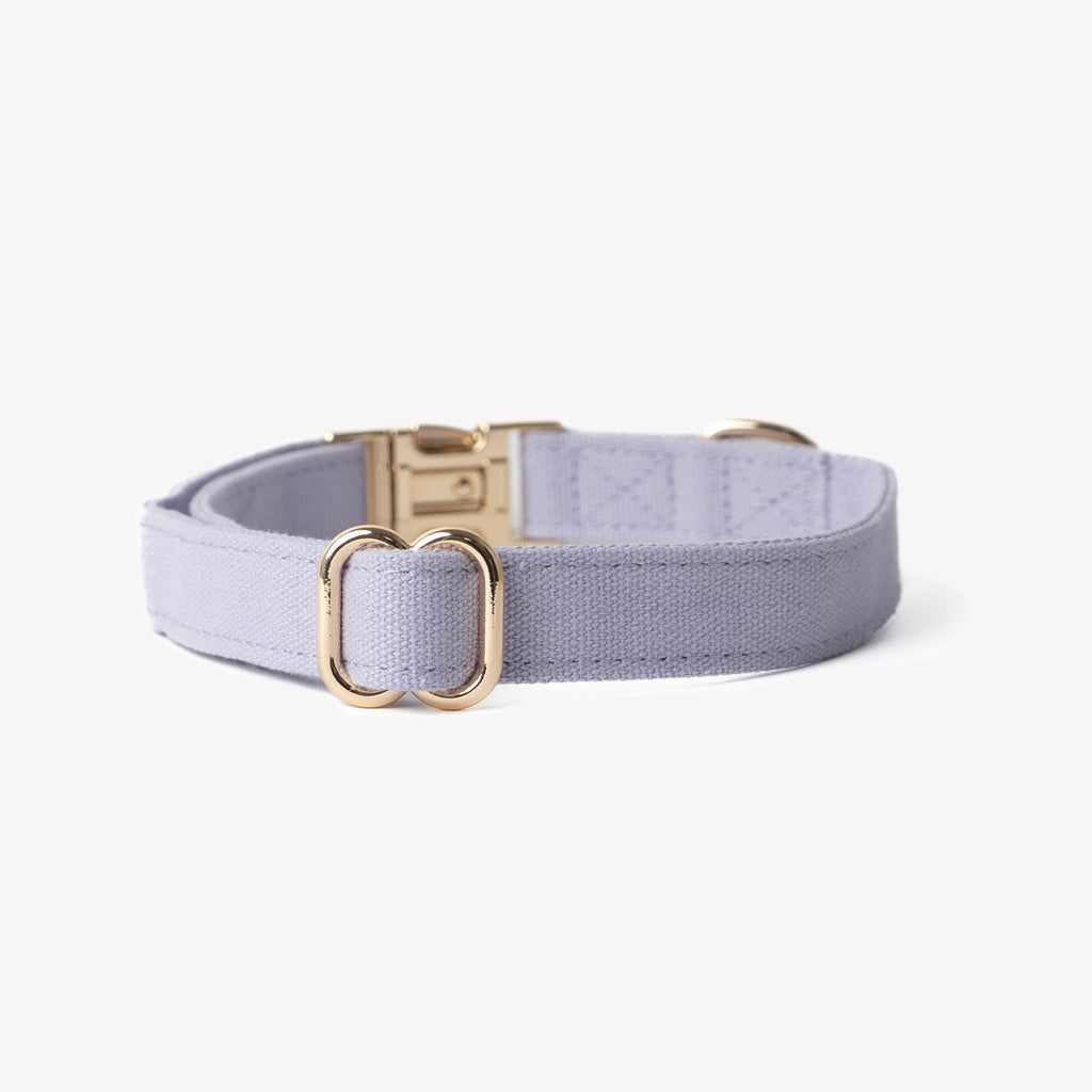 Canvas Dog Collar in Lavender