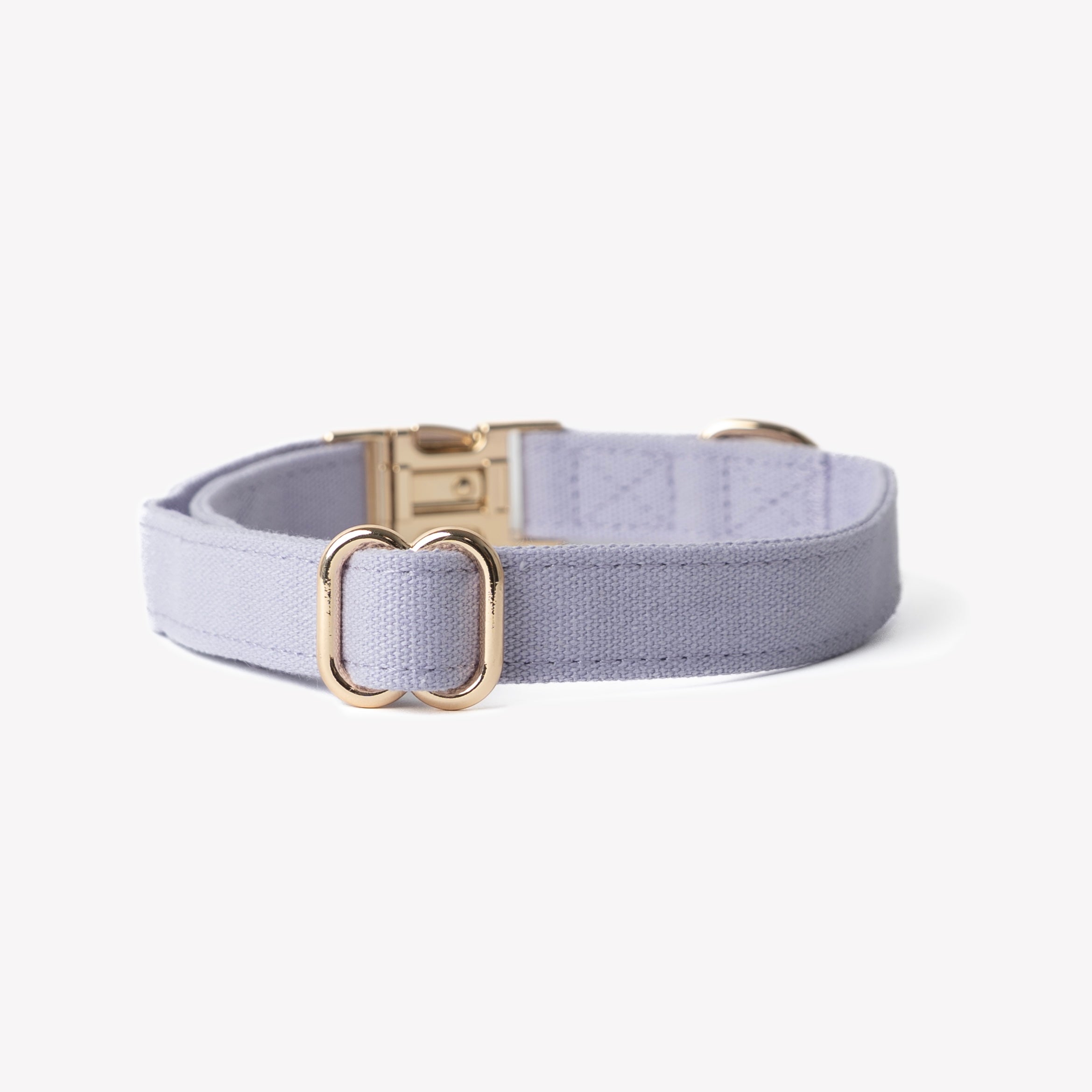 Canvas Dog Collar in Lavender