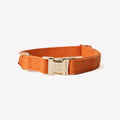 Canvas Dog Collar in Terracotta