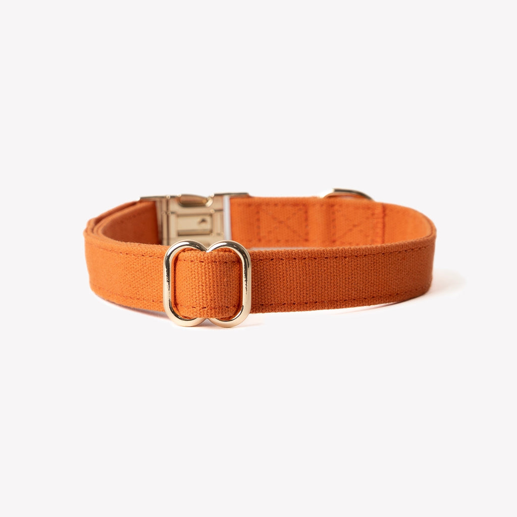 Canvas Dog Collar in Terracotta