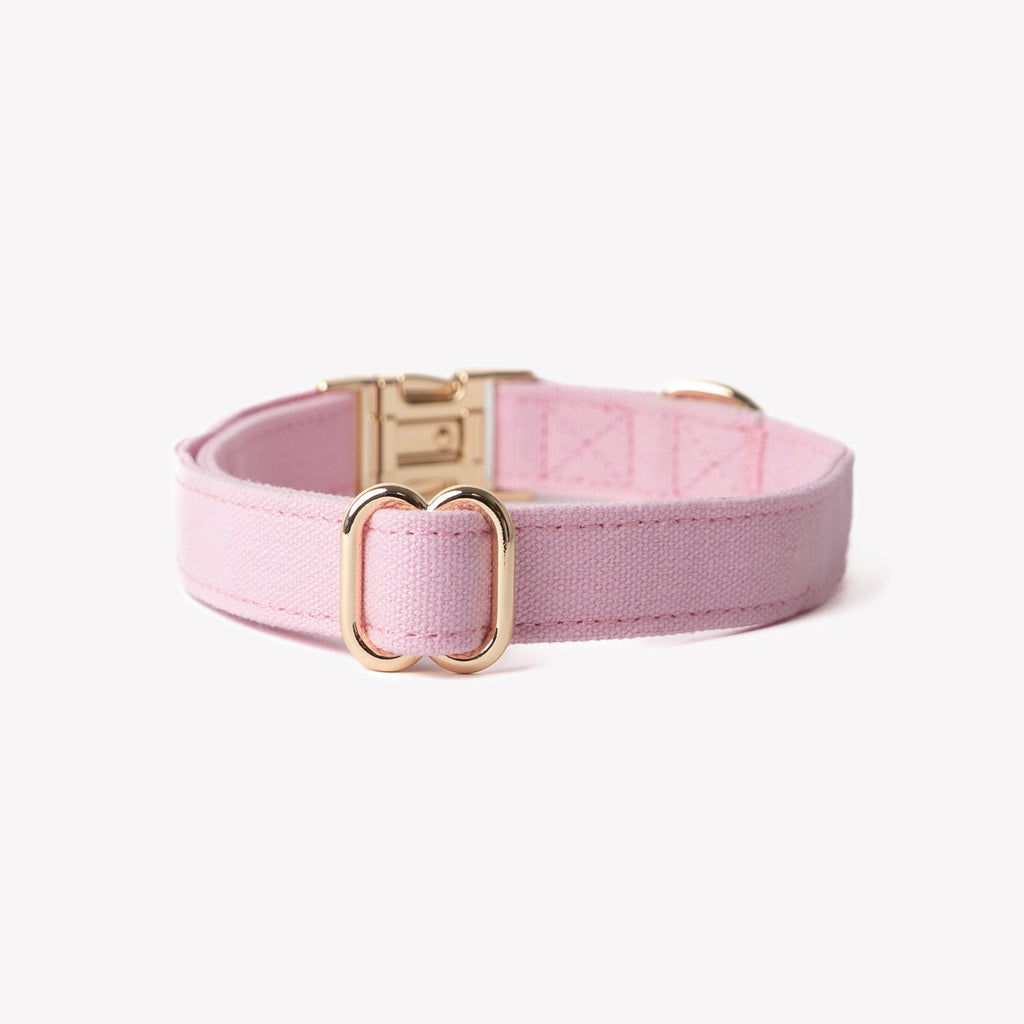 Canvas Dog Collar in Pink