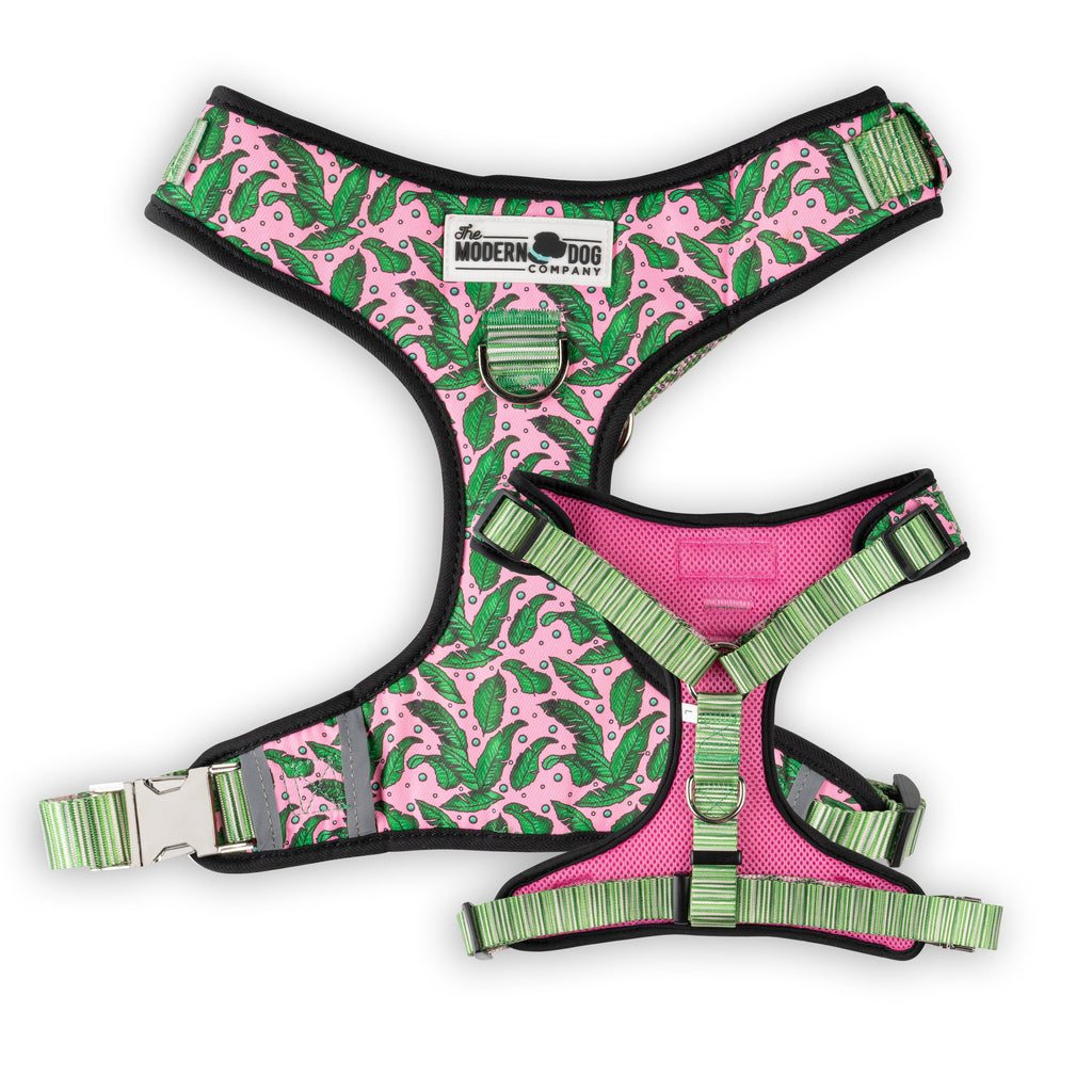 Pink Tropics Dog Harness