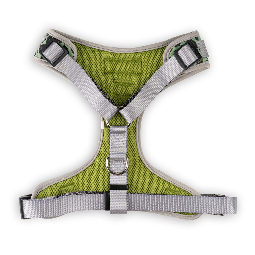 Walk on the Wild Side Dog Harness