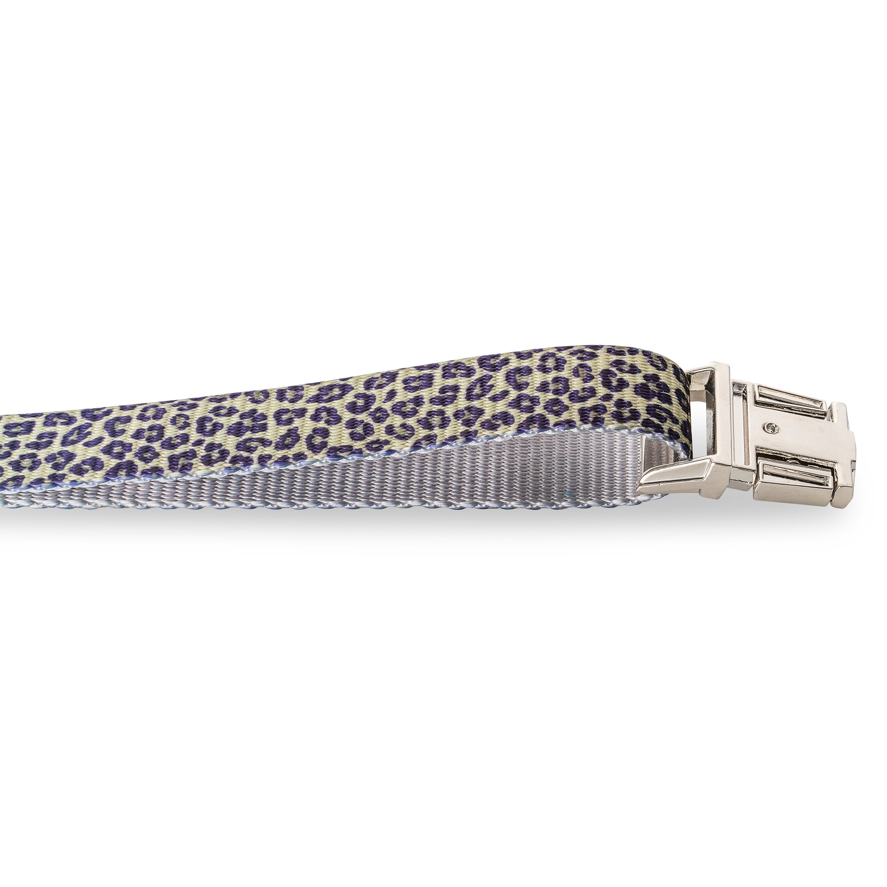 Walk on the Wild Side Dog Collar
