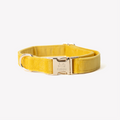 Velvet Dog Collar in Yellow