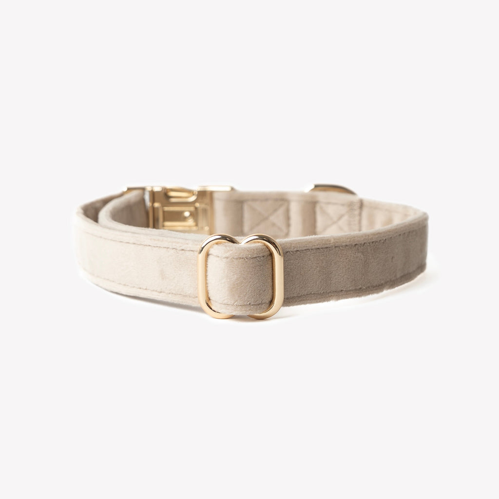 Velvet Dog Collar in Sand
