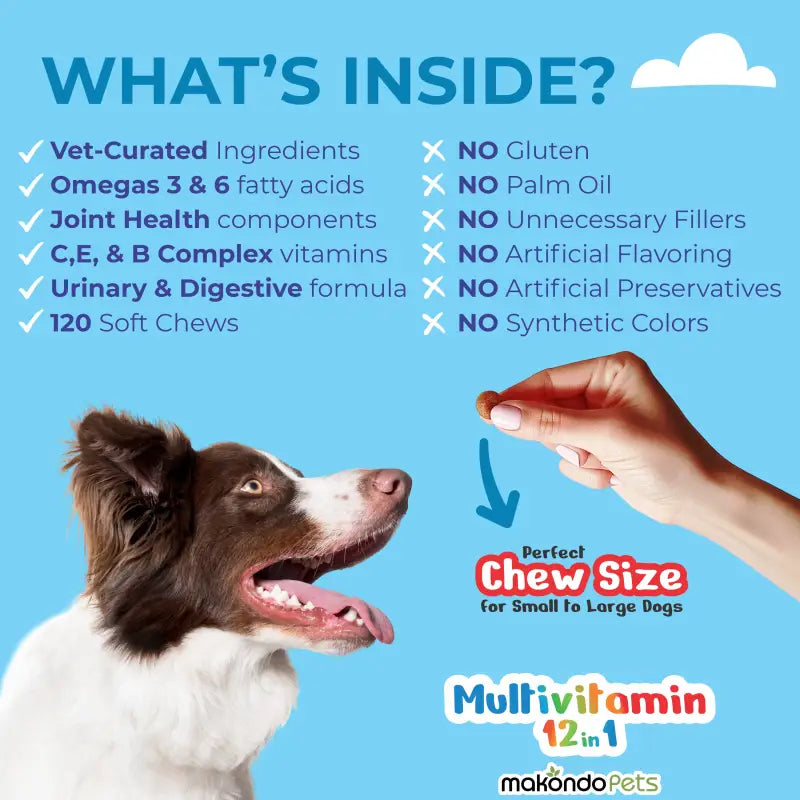 12-in-1 Dog Multivitamin – 120 Soft Chews