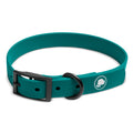 Forest Green Weather and Odor Resistant Dog Collar