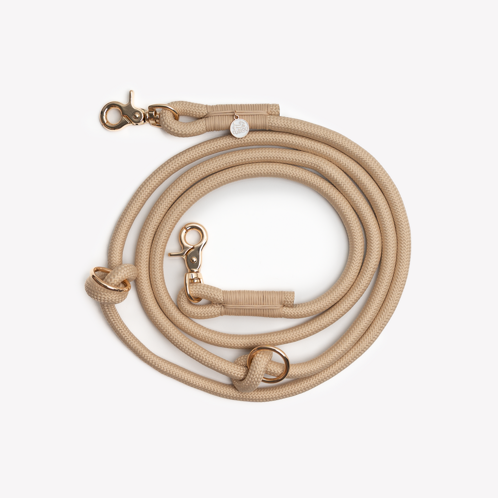 Hands-Free Braided Dog Leash in Tan