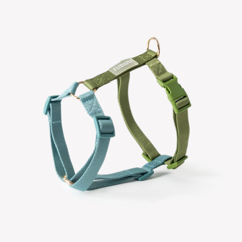 Strap Dog Harness in Blue and Green