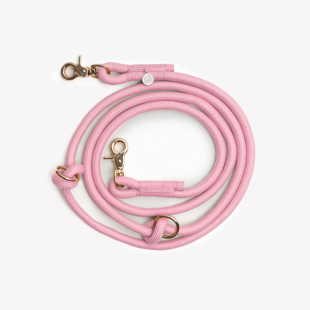 Hands-Free Braided Dog Leash in Pink