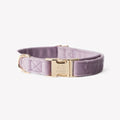 Velvet Dog Collar in Lilac