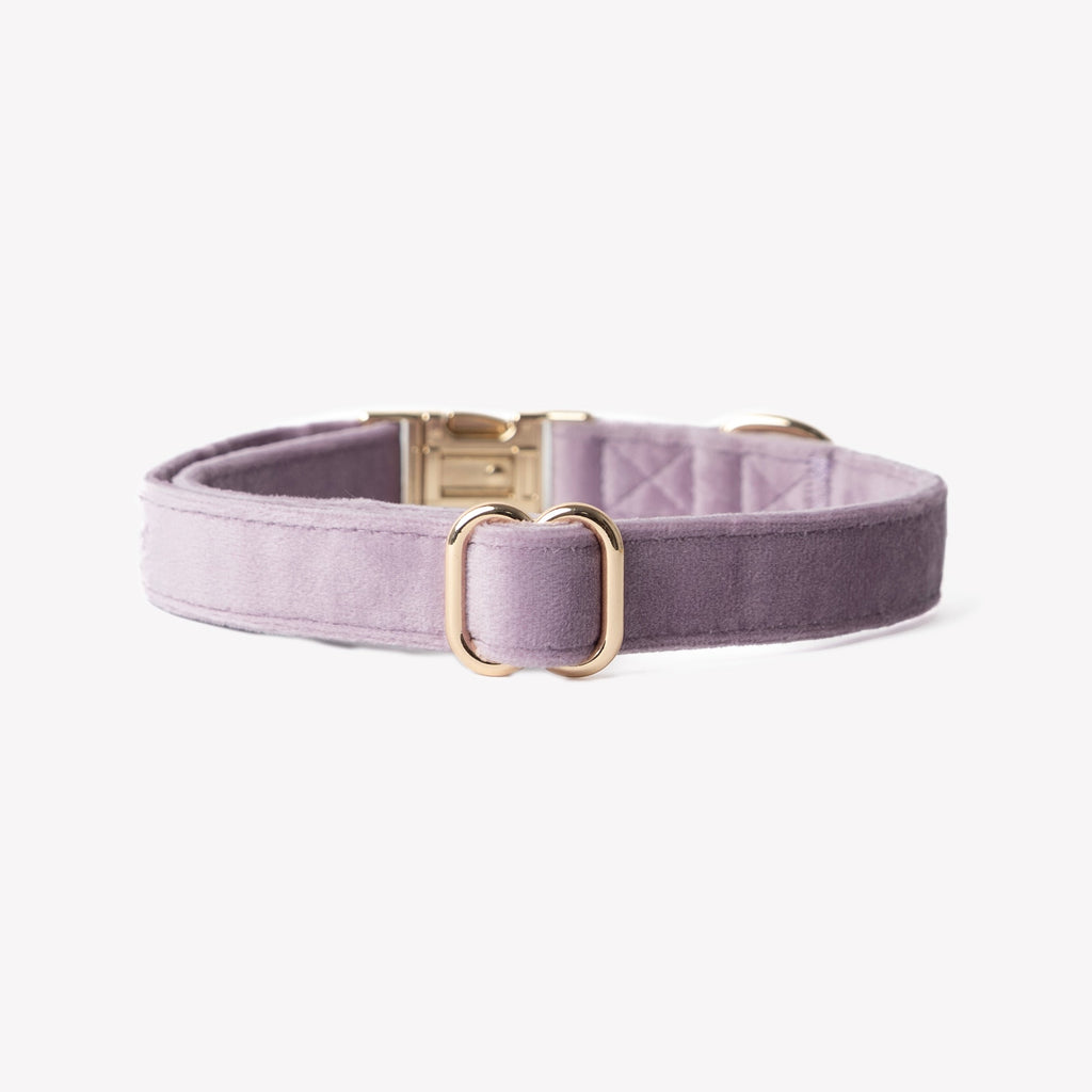 Velvet Dog Collar in Lilac