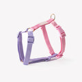 Strap Dog Harness in Lavender and Pink