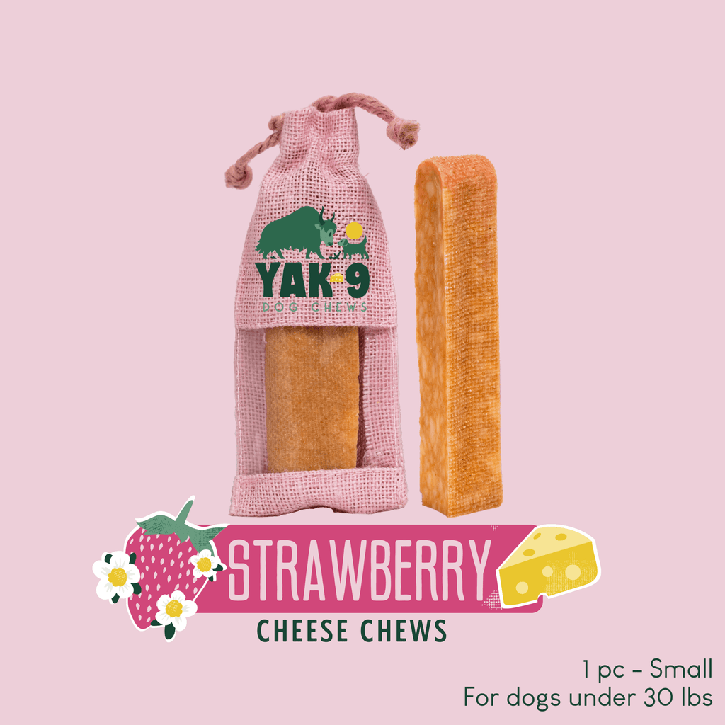 Yak9 Chews - Strawberry