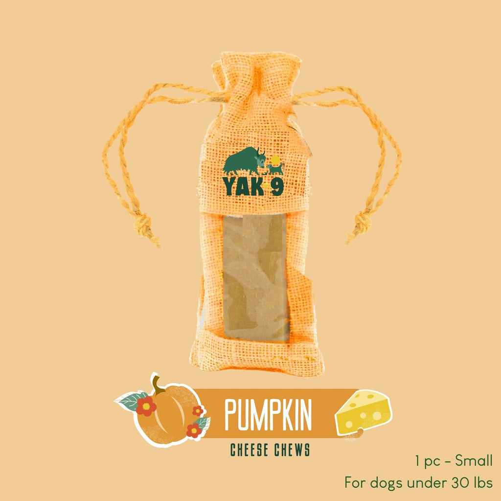 Yak9 Chews - Pumpkin