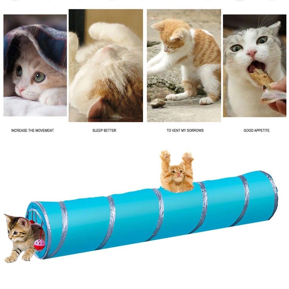 Cat Tunnels