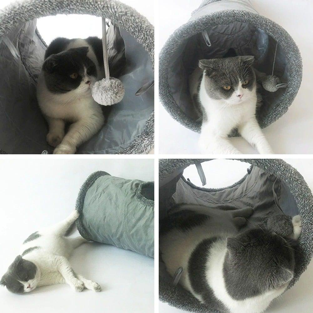 Cat Tunnels