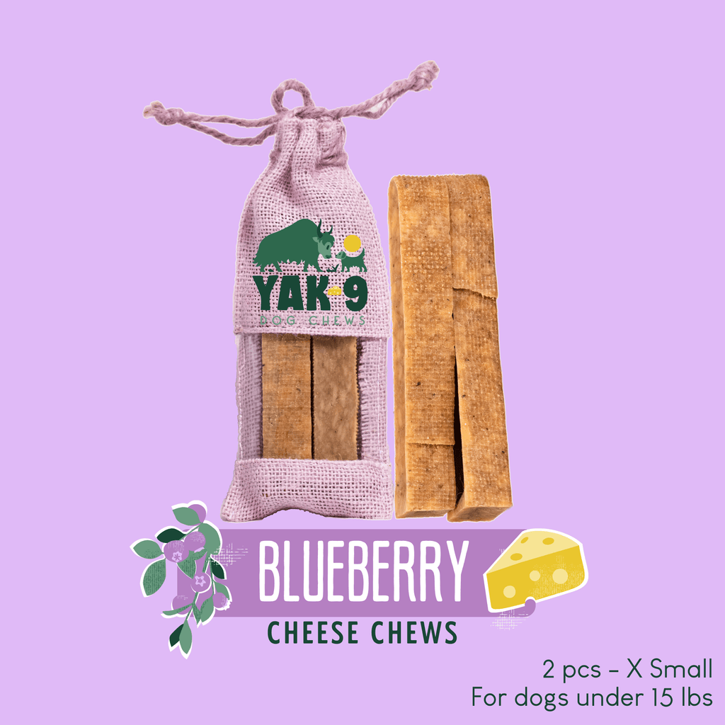 Yak9 Chews - Blueberry