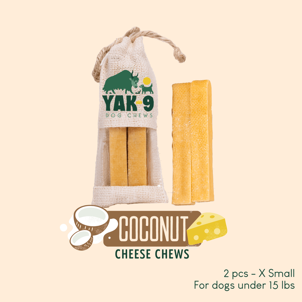 Yak9 Chews - Coconut Cheese
