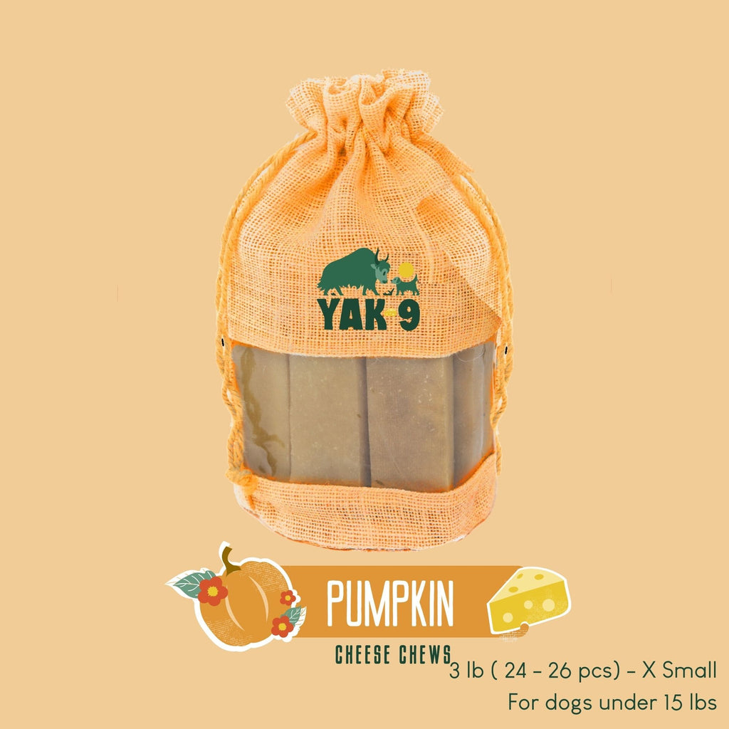 Yak9 Chews - Pumpkin