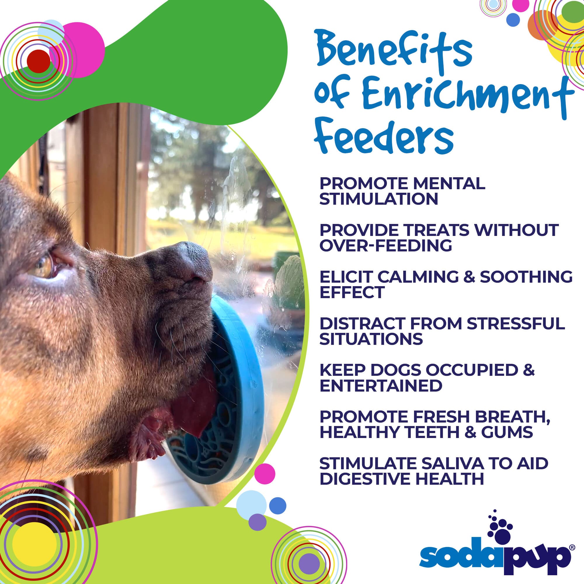 Sodapup Cat & Dog Turtle Emat-Mini Lick Mat with Suction Cups - Blue