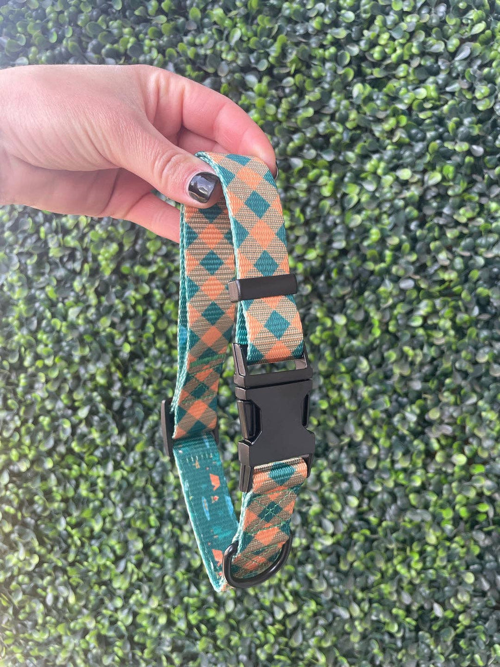 Plaid Camping Dog Collar