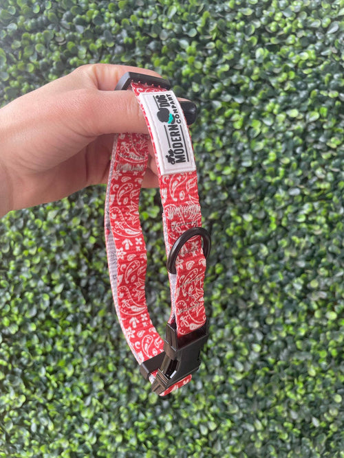 Bad to the Bone Bandana Dog Collar
