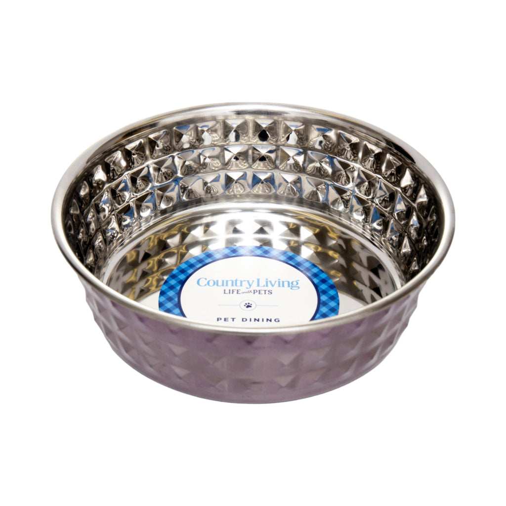 Country Living Set of 2 Hammered Stainless Steel Dog Bowls – Lavender