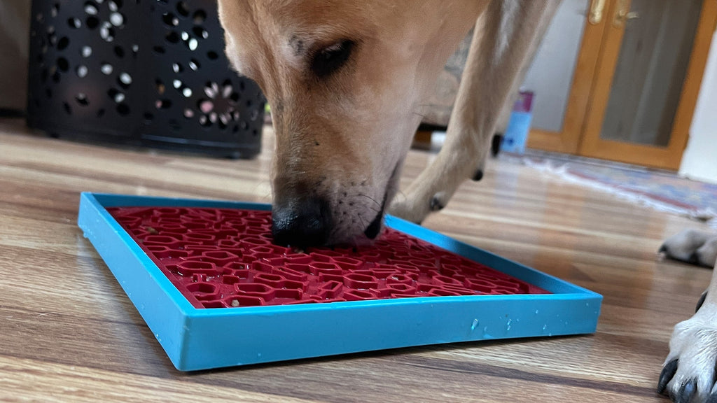 SodaPup Vino Dog Emat – Red