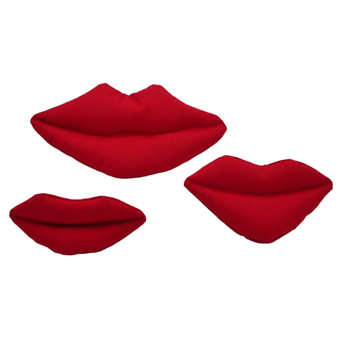 Ballistic Dog Toy – Big Red Lips