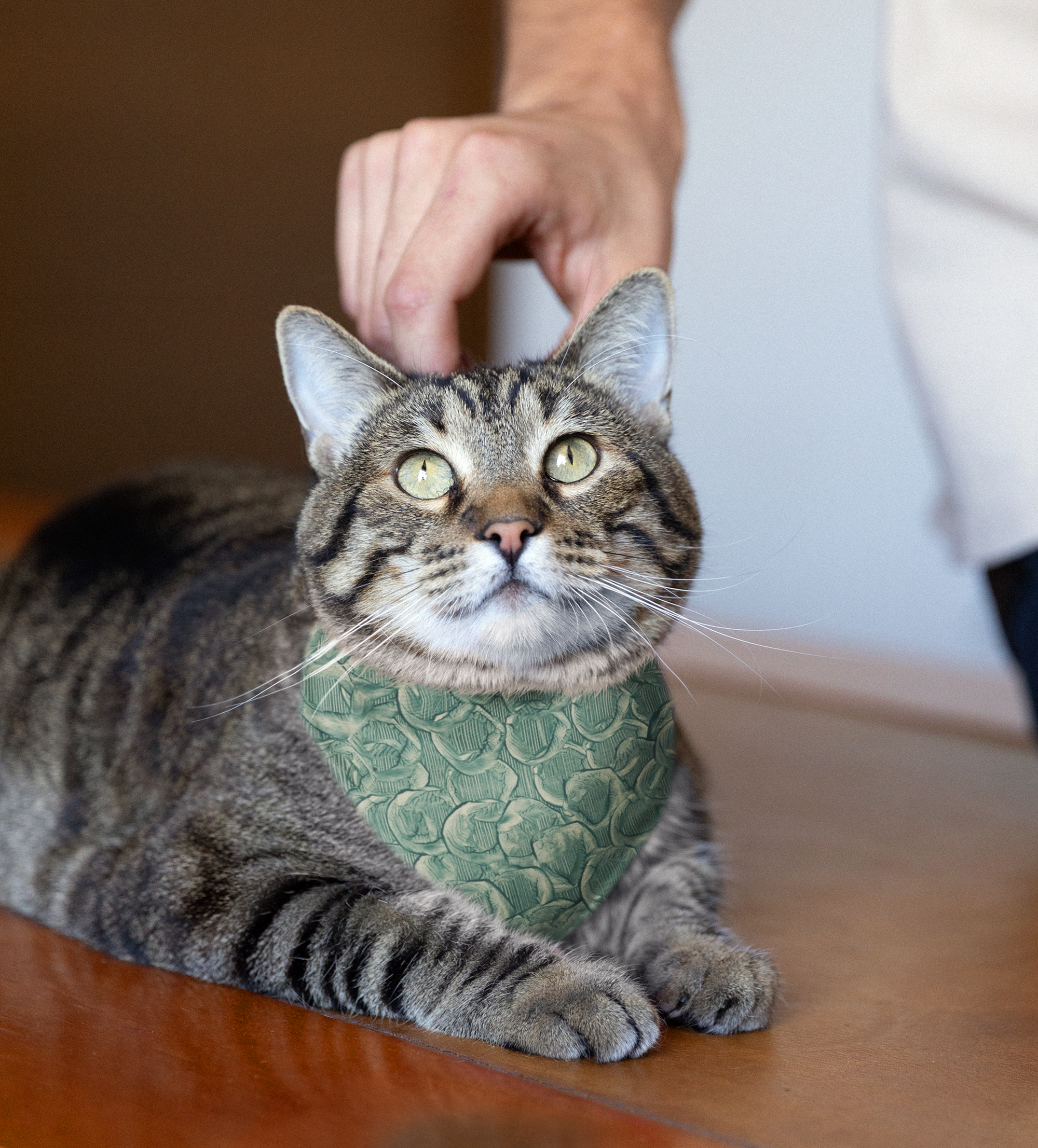Sebastian and Clementine Vintage Collection Bandana Collar for Dogs and Cats