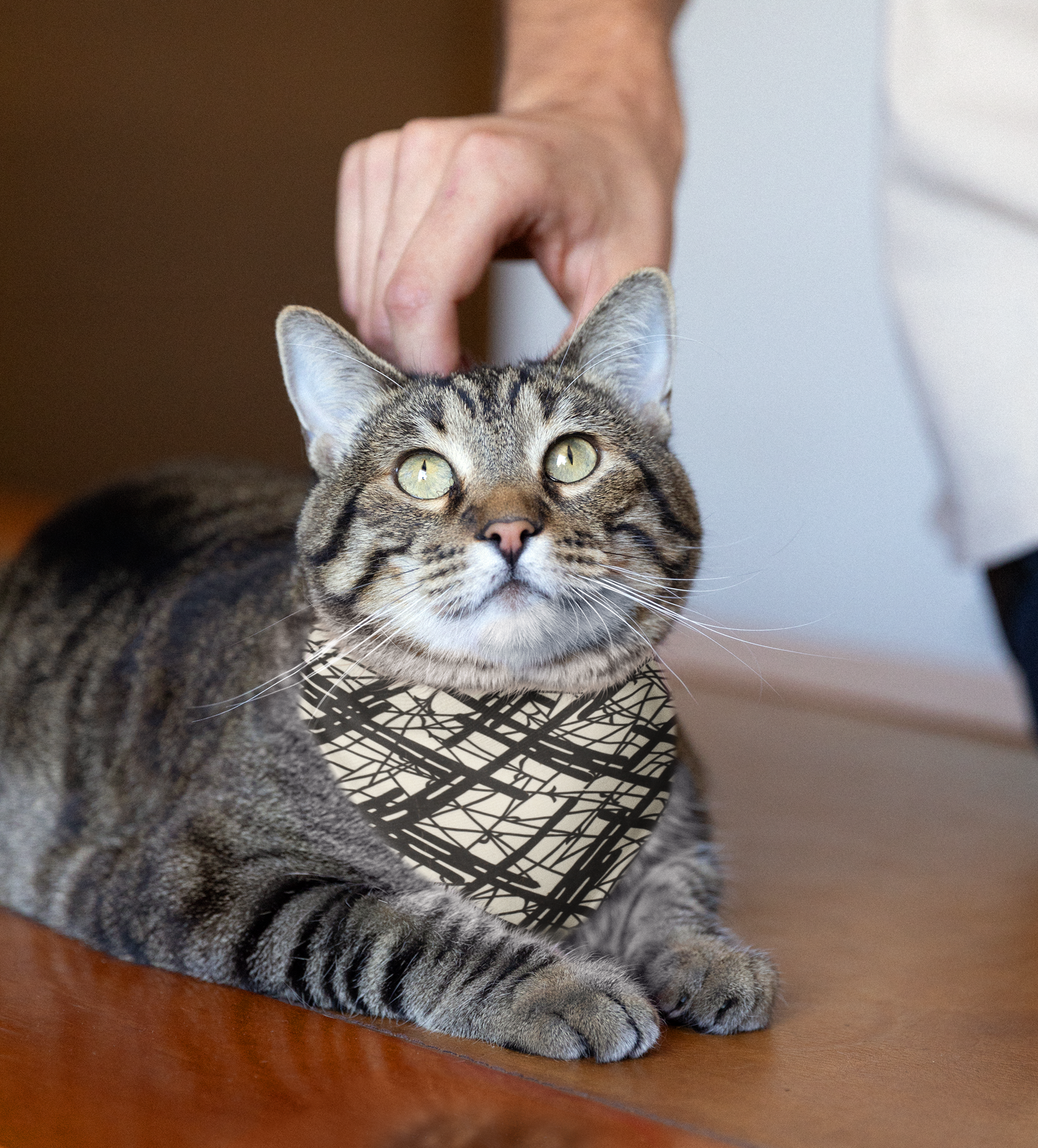Sebastian and Clementine Vintage Collection Abstract Lines Bandana Collar for Dogs and Cats