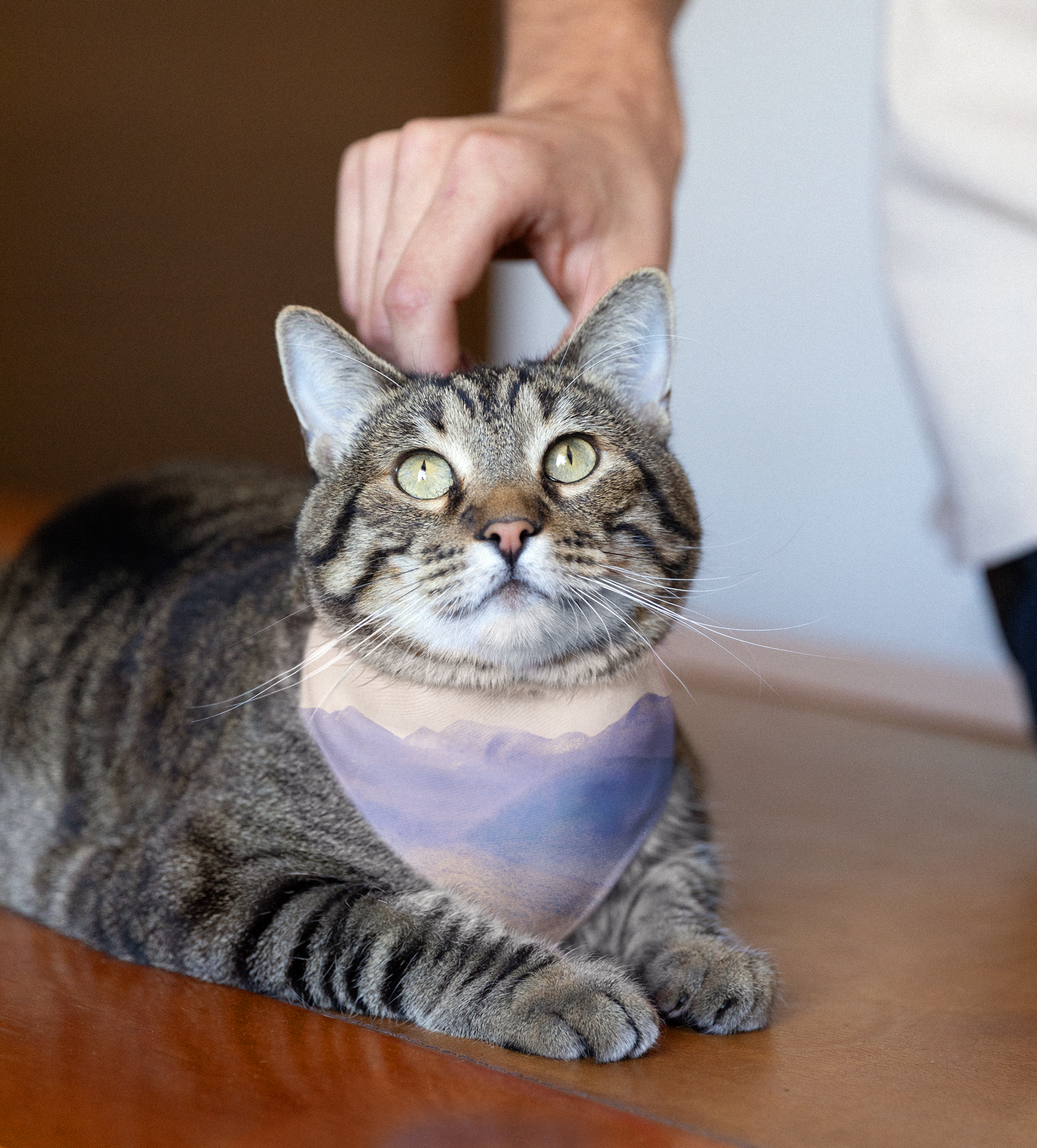 Sebastian and Clementine Vintage Collection Purple Mountains Bandana Collar for Dogs and Cats