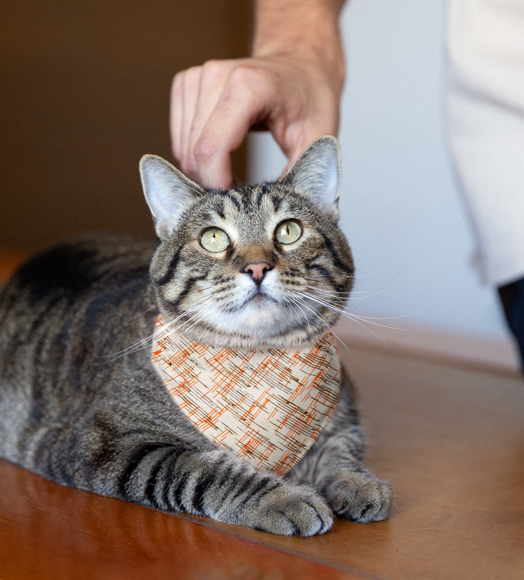 Sebastian and Clementine Vintage Collection Lines Bandana Collar for Dogs and Cats