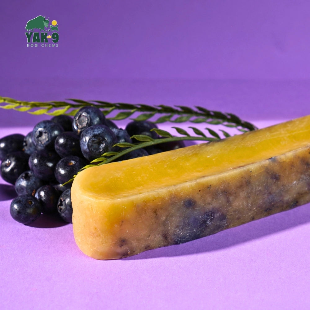 Yak9 Chews - Blueberry