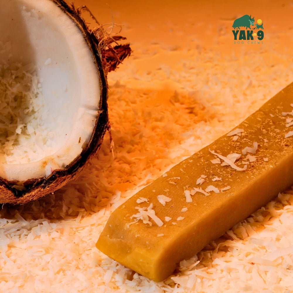 Yak9 Chews - Coconut Cheese