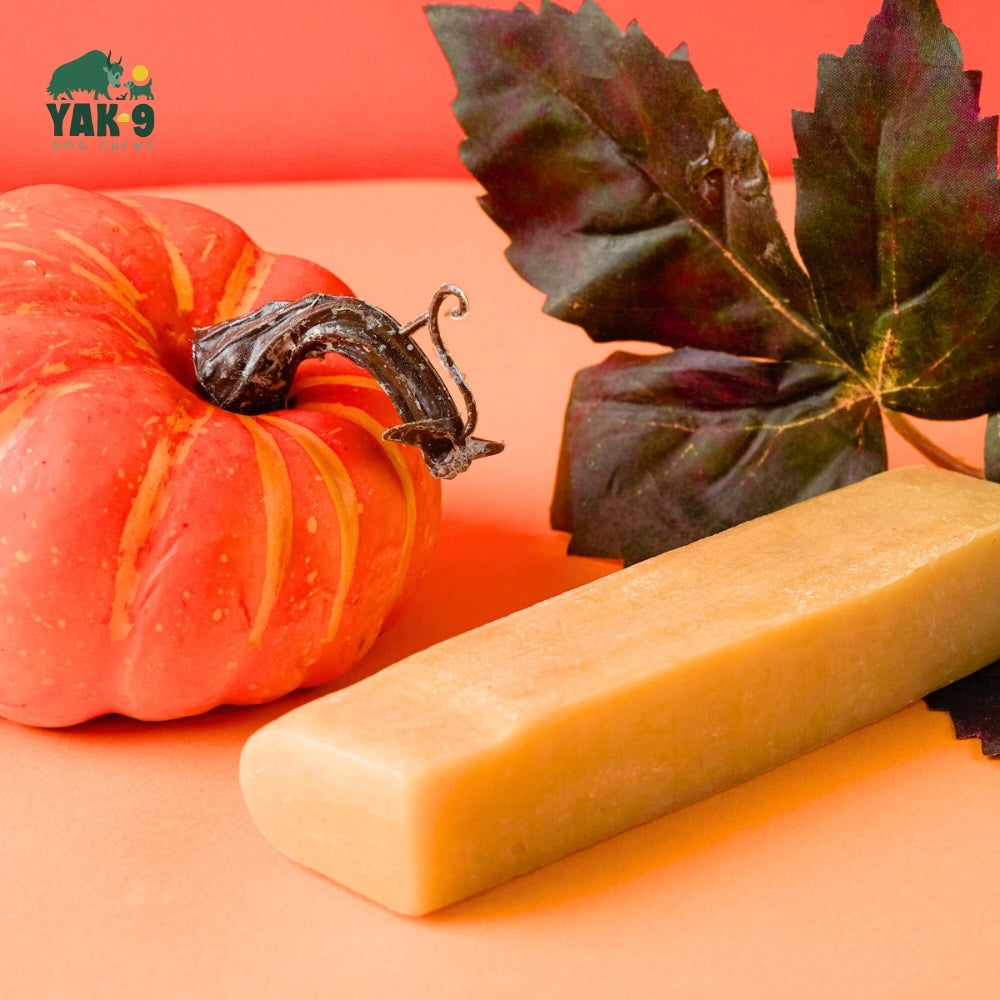 Yak9 Chews - Pumpkin