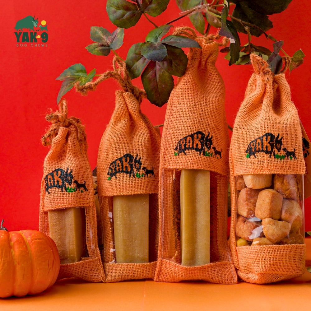 Yak9 Chews - Pumpkin